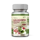 Netamin Galagonya-kivonat kapszula 400 mg (60 kapszula – 1 havi adag)